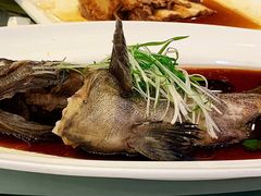 -新花城蟹粉馆(乌鲁木齐店)