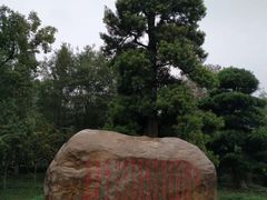 -韶山毛泽东同志故居