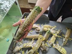 -板桥海鲜广场(文明东店)