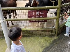 -青青世界