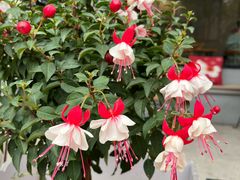 -转山咖啡(松柏社区店)