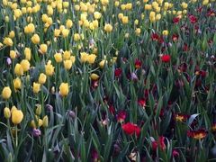 -长春公园(普阳街道)