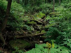 -洛阳白云山景区