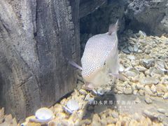 -福州罗源湾海洋世界旅游区