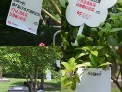 -中山公园