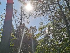 -广州白江湖森林公园