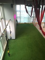 -桃秘钢管舞Peach Pole Fitness