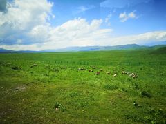 -新疆那拉提国家旅游度假区