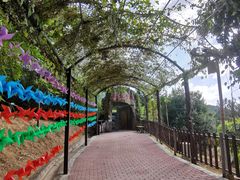 -泉州海丝野生动物世界