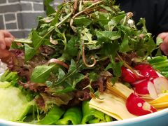 -邵年鸽(杨庄店)