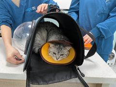 -嘉馨宠物医院·CT影像转诊·心脏科·犬猫全科诊疗中心(下沙大学城院区)