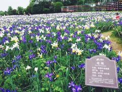 -保利石象湖景区