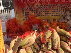 -晓港公园
