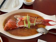 清蒸东星斑-毛里求斯小四川餐厅总店