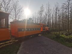 -合肥滨湖国家森林公园