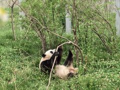 -西安秦岭野生动物园
