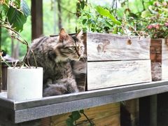 景点-广州珠江公园