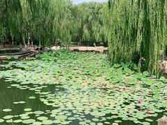 -阿尔丁植物园