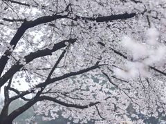 -杭州少年儿童公园