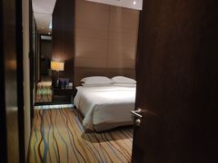 -扬州绿地铂骊酒店