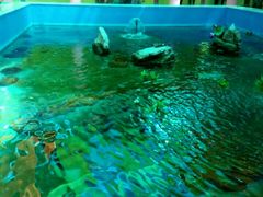 -北戴河圣蓝海洋公园