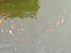 -中国翰园碑林