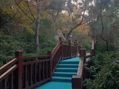 -徂徕山森林康养度假谷温泉