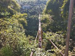 -川西竹海景区