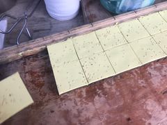 蔺大妈松花糕-蔺大妈松花糕