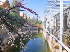 -小仙居·农家宴烤羊· 农庄