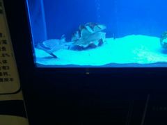 -裕丰源滋补烩面(天赋路店)