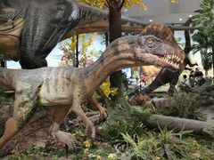 -湖南省地质博物馆