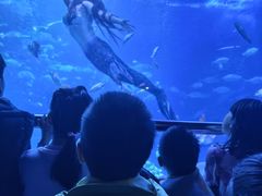 -太平洋海底世界