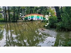 -西溪南古村落景区