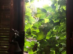 -斯多格书乡(北京大学畅春园店)