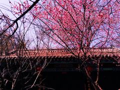 -竹泉村旅游度假区