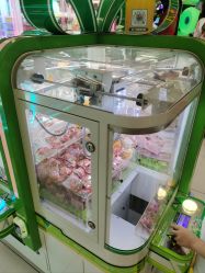 -莫莉幻想儿童乐园(北京天通苑华联店)