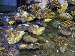 -浙江自然博物院(杭州馆)