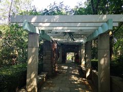 -观象山公园