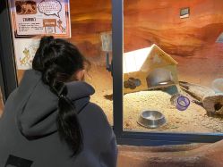 -酷嗒动物文化乐园(cutezoo西溪乐天城店)