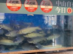 -淘米捞·米汤脆鲩鱼火锅(福田皇岗店)