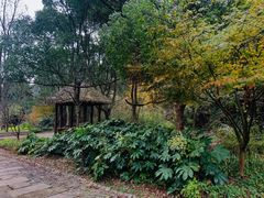 -黄公望隐居地