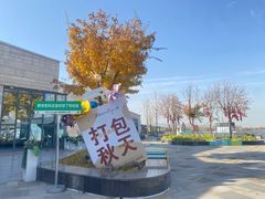 -泰印·Blooming·泰甄选泰餐(晋阳里店)
