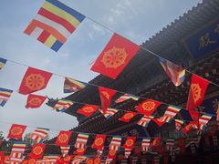 -龙口南山旅游景区