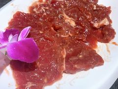 -蓉客成都火锅·招牌麻辣牛杂·特色香辣蹄花(凌水店)