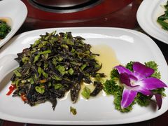 -山大王菌莊