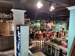 点击看大图 -金棕榈