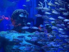 -正佳极地海洋世界
