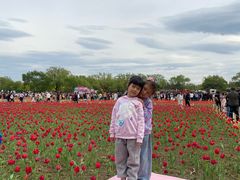 -北陵公园