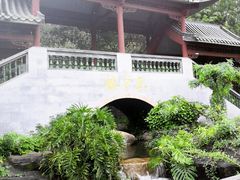 -广州神农草堂中医药博物馆